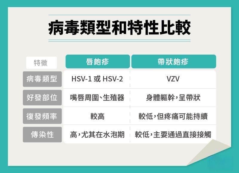 唇疱疹、带状疱疹差在哪？来了解各种疱疹反应的健康知识