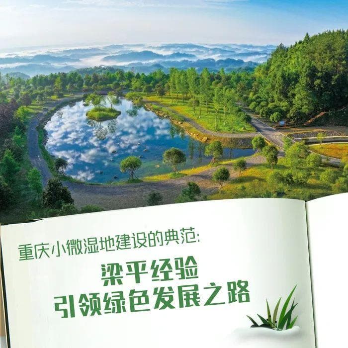 重庆小微湿地建设的典范：梁平经验引领绿色发展之路