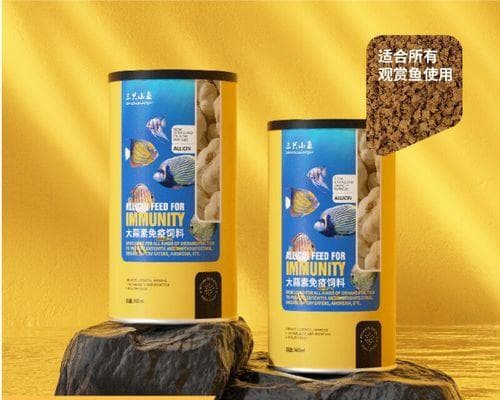 热带鱼的饲养之道：如何选择适合的营养饲料