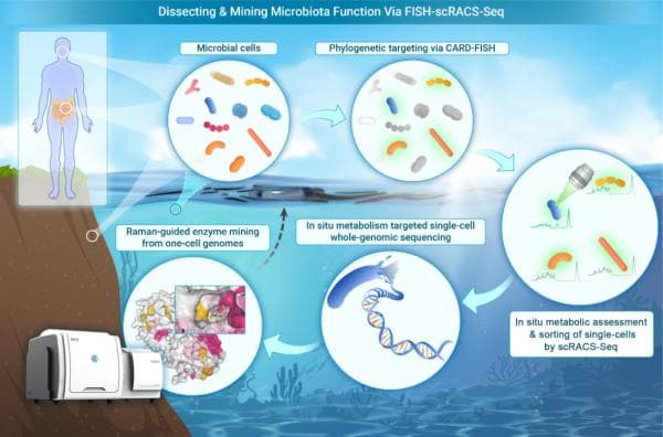 科学家开发出物种-代谢双靶向的微生物细胞及酶资源挖掘新技术