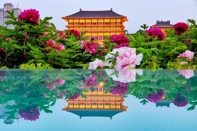 这个四月去洛阳，看牡丹、赏美景、读历史、览山水，做个快哉神都人