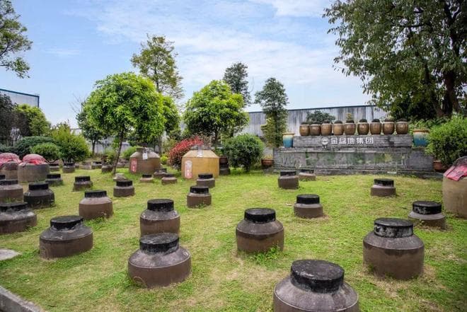 跨越时空的酒香：古代文明中的酒文化