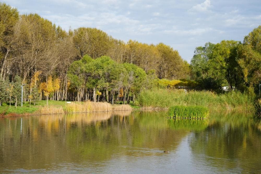 在西宁，享受湿地公园带来的“诗与远方”