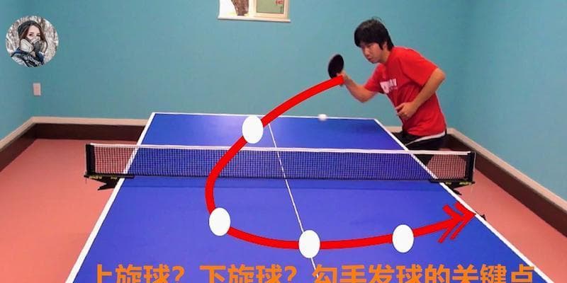 乒乓球拉下旋球技术的奥秘（掌握旋球技巧，成为乒乓球高手）