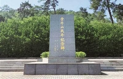 势如破竹的梅花桩战术：罗炳辉的军事智慧与创新