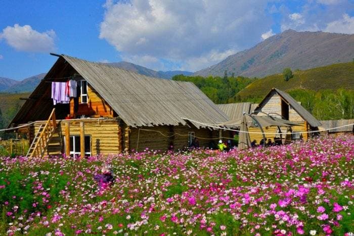 新疆旅游注意事项有哪些，全面又详细的新疆旅游指南