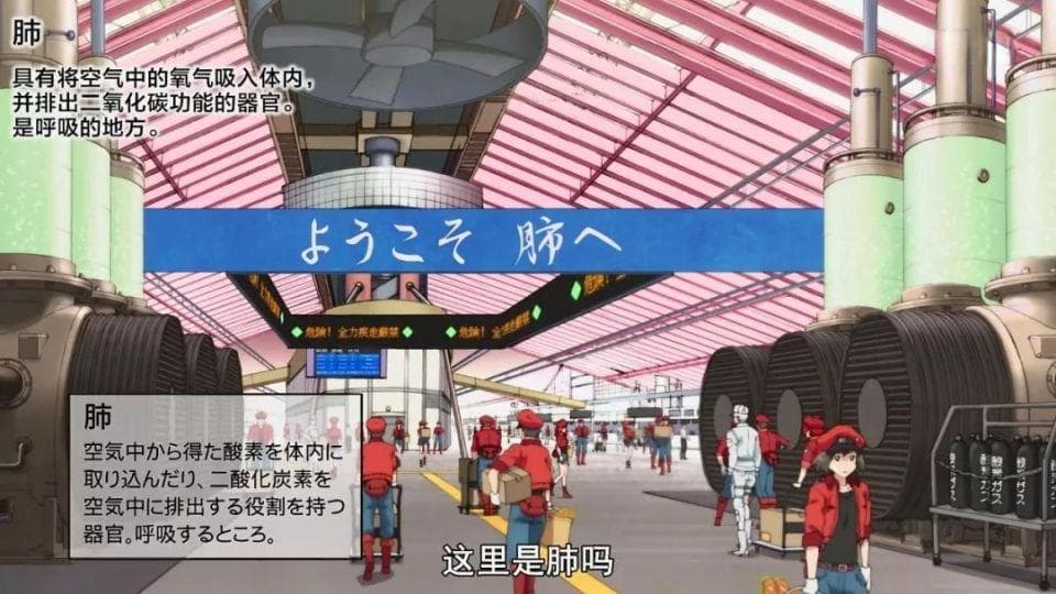 三部“生物学启蒙”动画纪录片, 为初中生物打下认知基础！