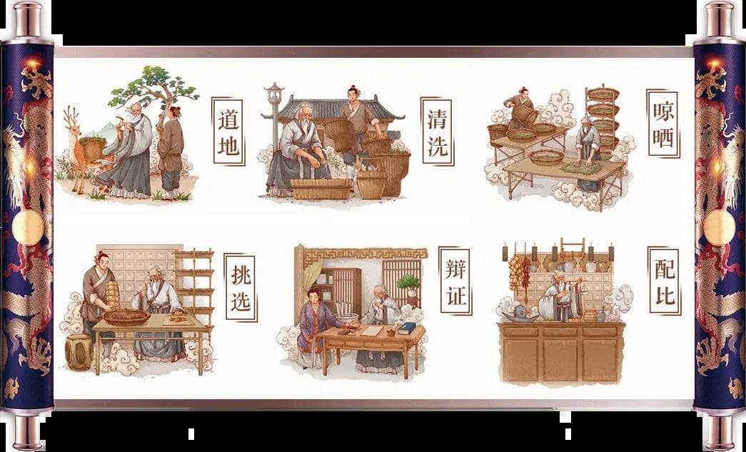 参鹿膏与辽宁金丹药业的关系