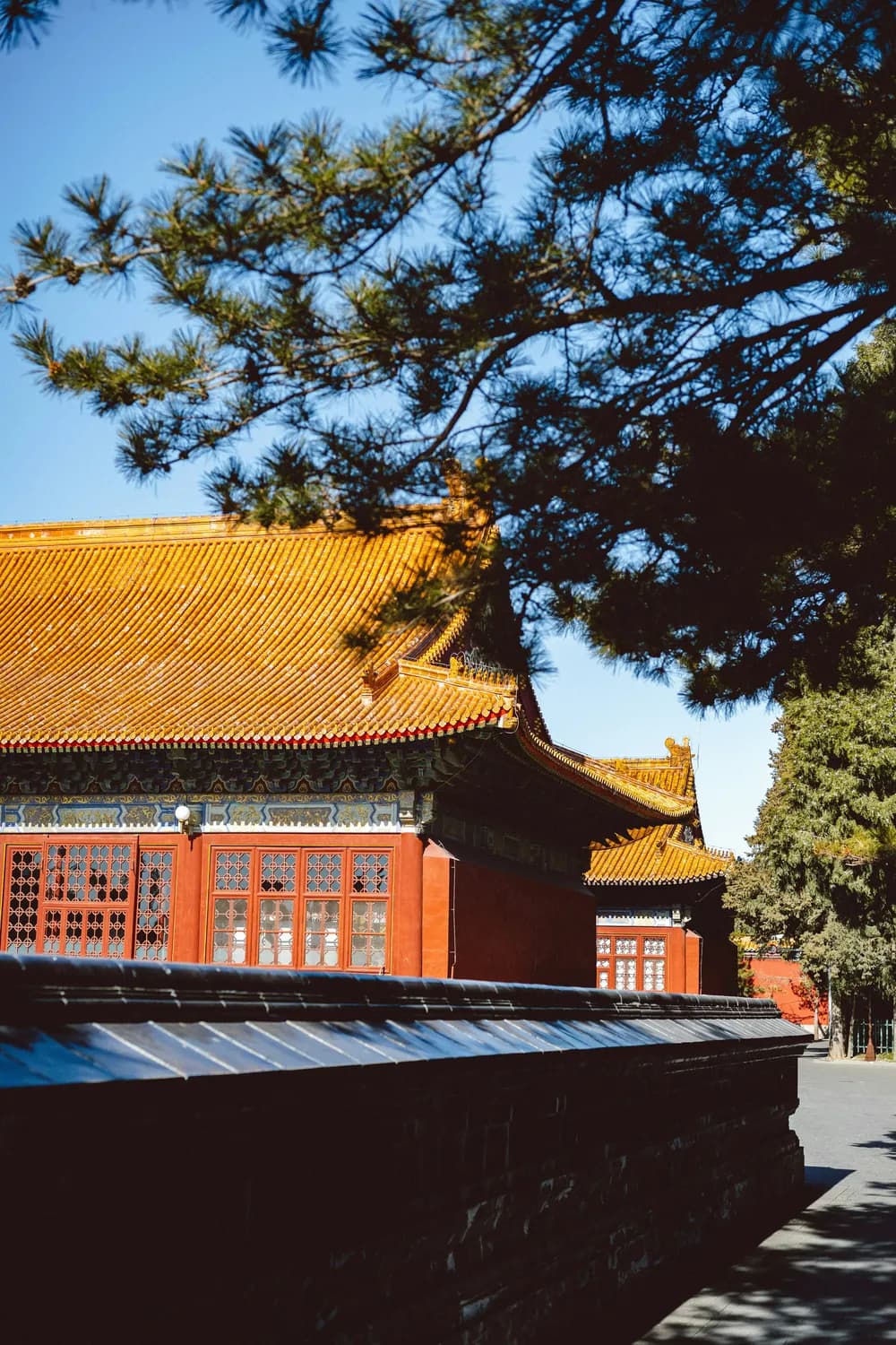 北京协和医院：正规疝气手术首选