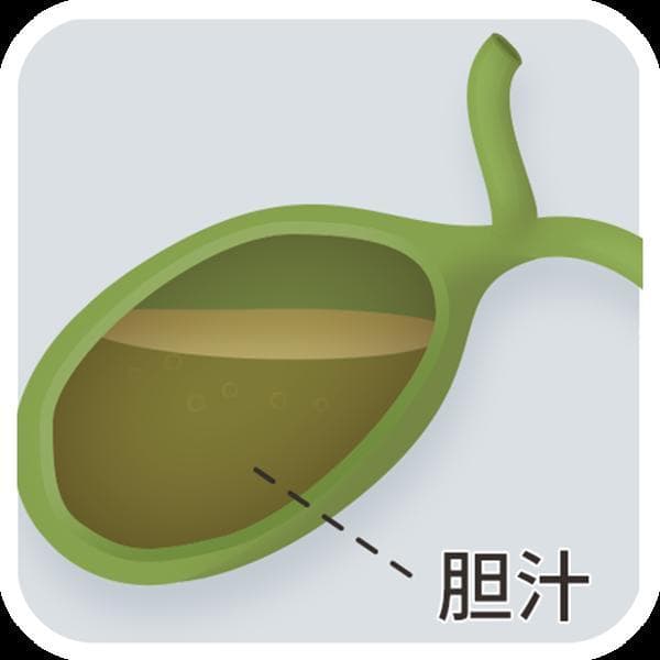 胆总管扩张意味着什么