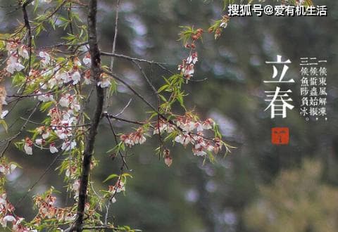 2024立春躲春时间几点到几点？正确方法全攻略