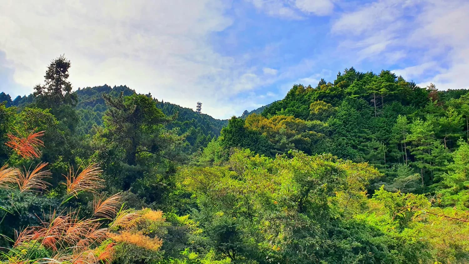青秀山秋日美景，南宁的自然瑰宝