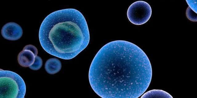 樊代明院士团队最新研究发现胃癌化疗耐药性新机制