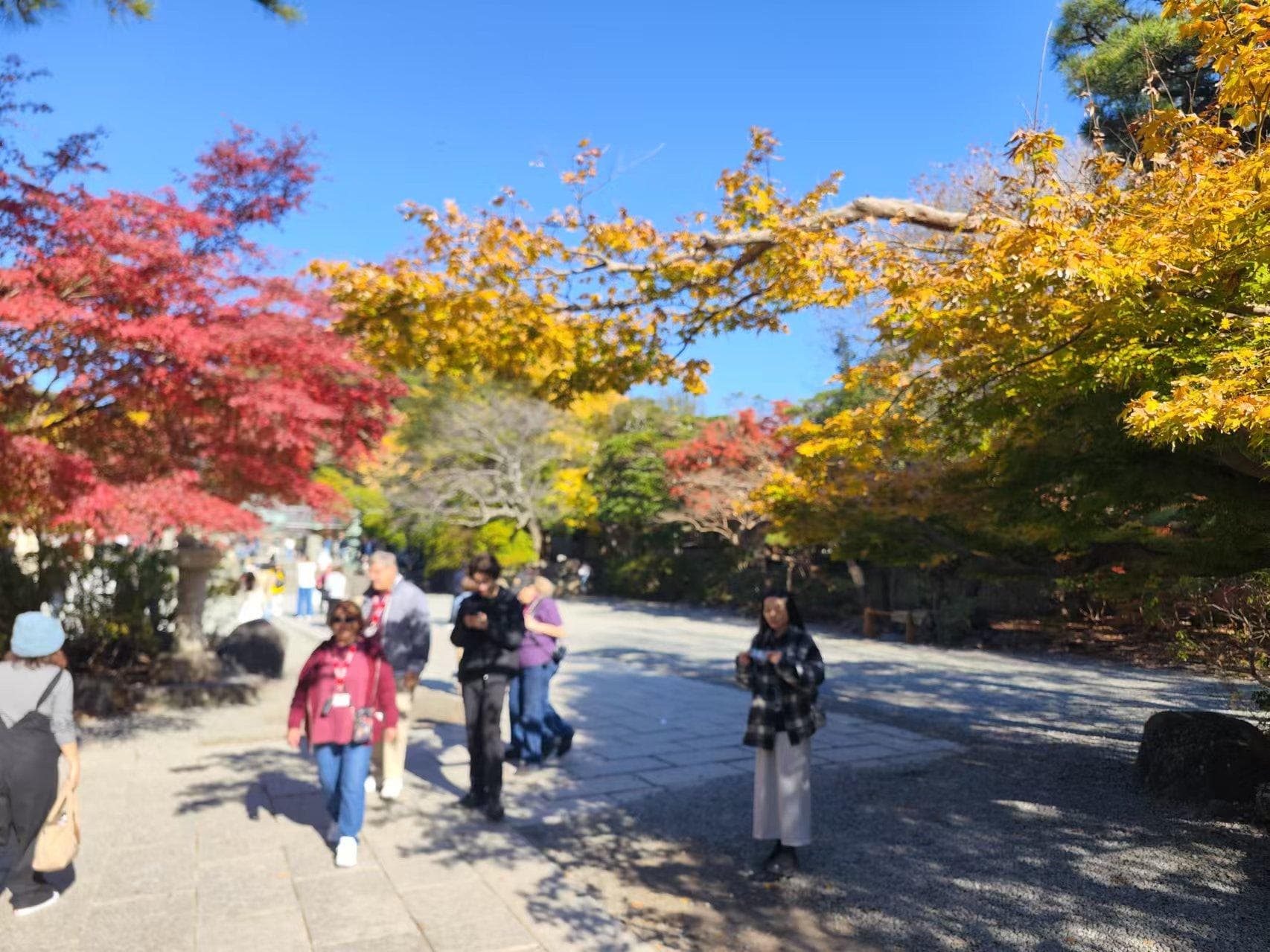 日本神奈川县-镰仓大佛