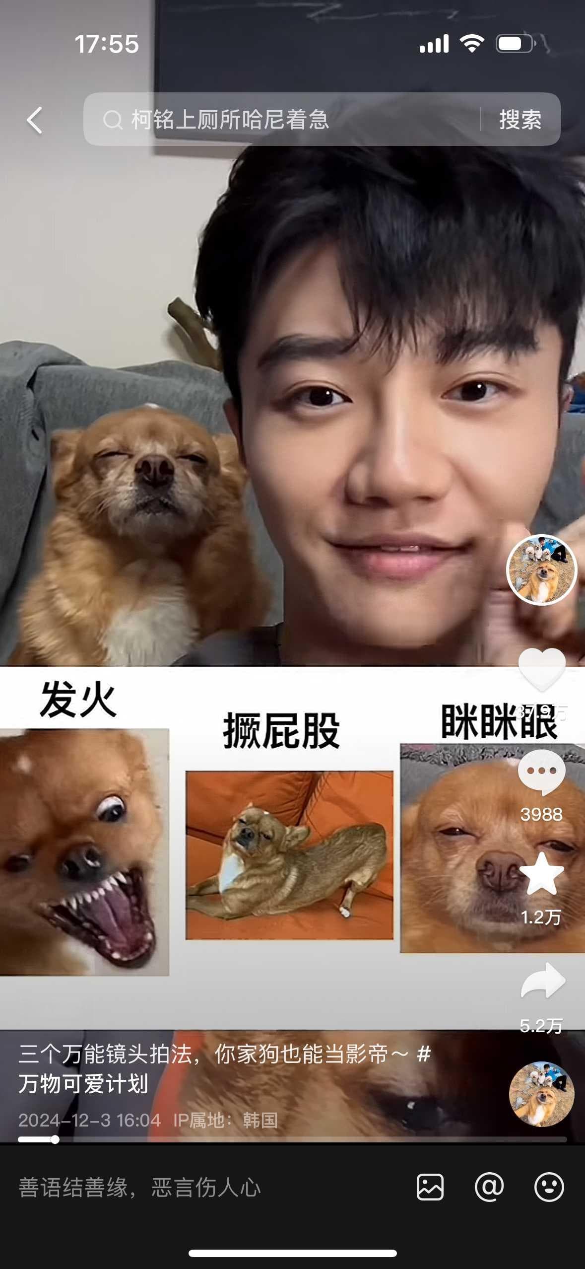 “宠咖”说：呵护一亿“小可爱”
