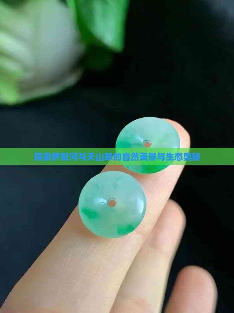 探索伊犁河与天山翠的自然美景与生态奥秘