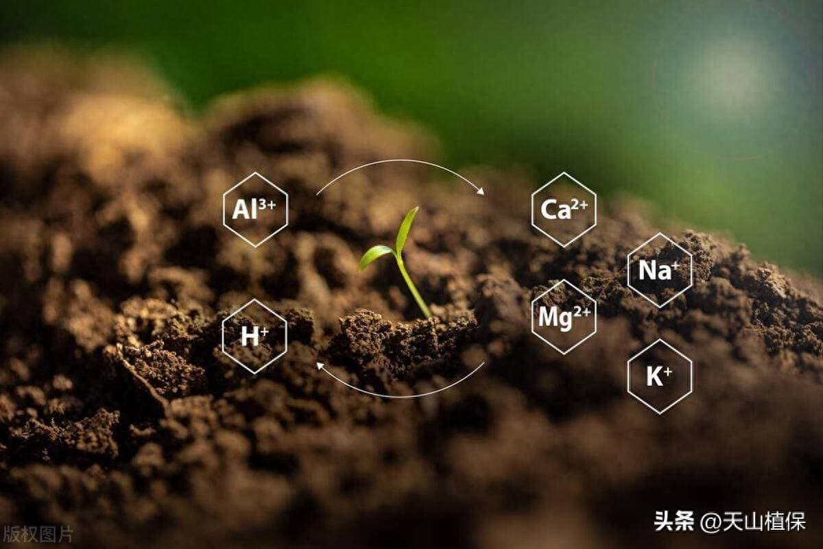 农业生产中肥料的作用与意义