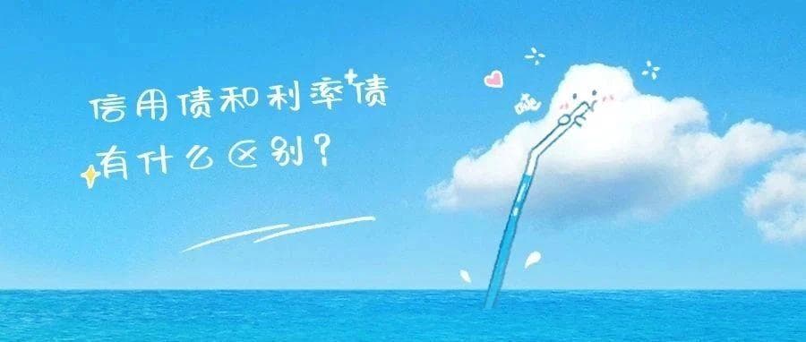 信用债和利率债都是什么？有什么区别？