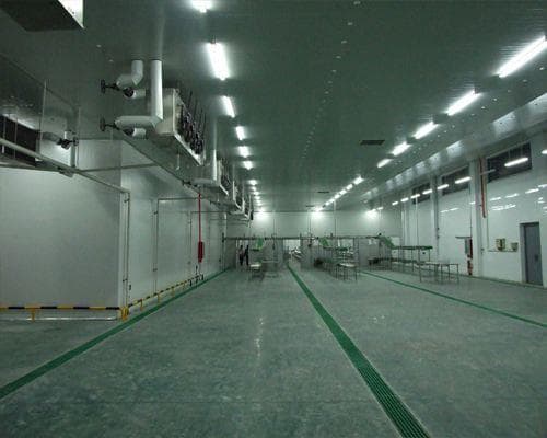 保鲜冷库建好后如何储存蔬菜