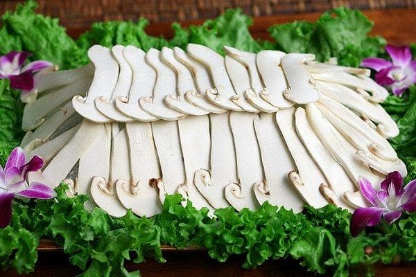 松茸有多少种吃法？松茸做法大全