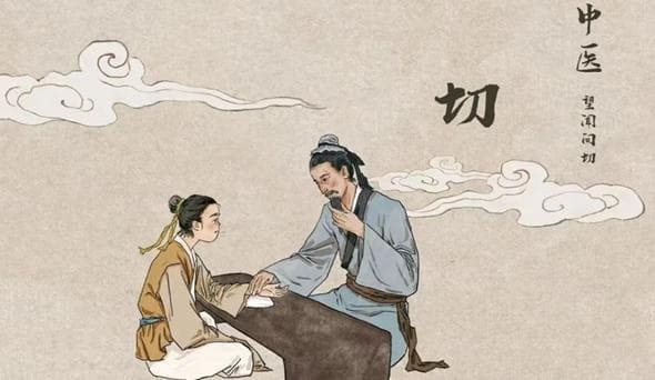 中医切诊全解：从脉诊到按诊的临床实践