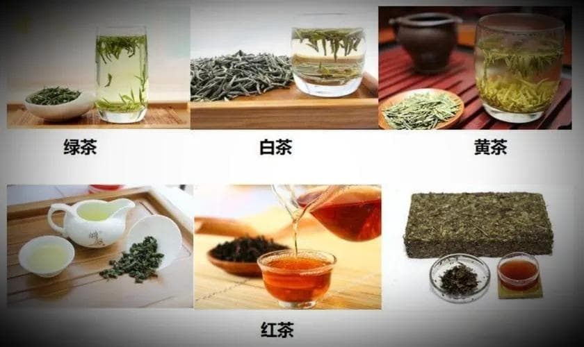 普洱茶是属于红茶还是绿茶？解析茶叶分类及饮用方法
