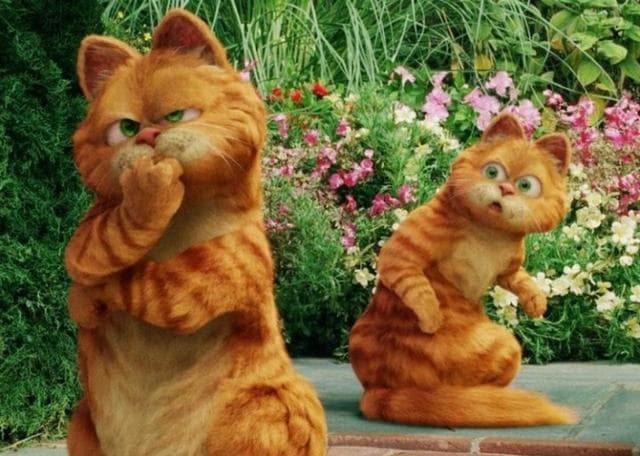 肥猫归来！《加菲猫》CG动画电影启动