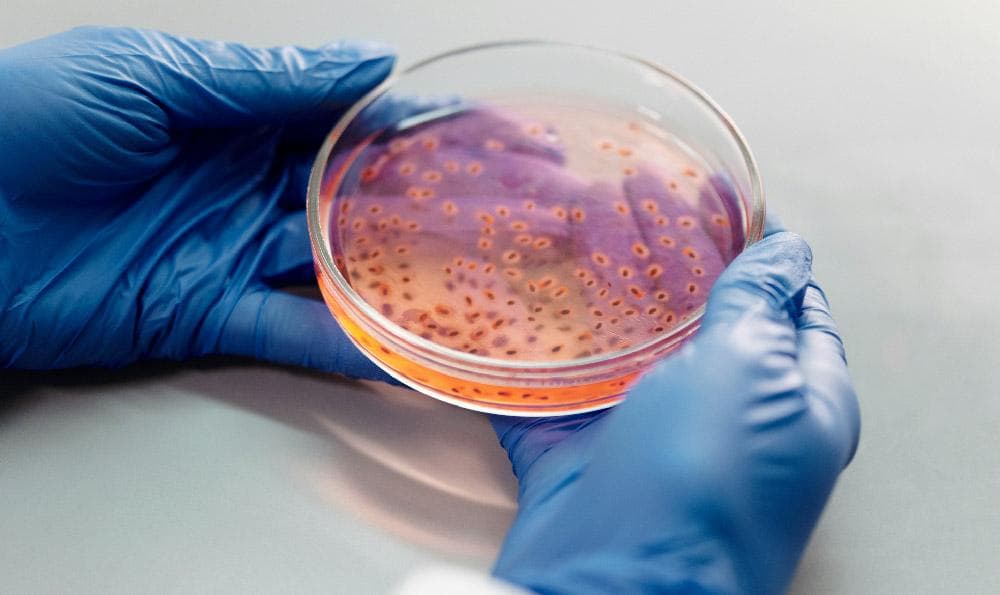 物理观念、科学思维与科学探究：开启科学探索之门的金钥匙