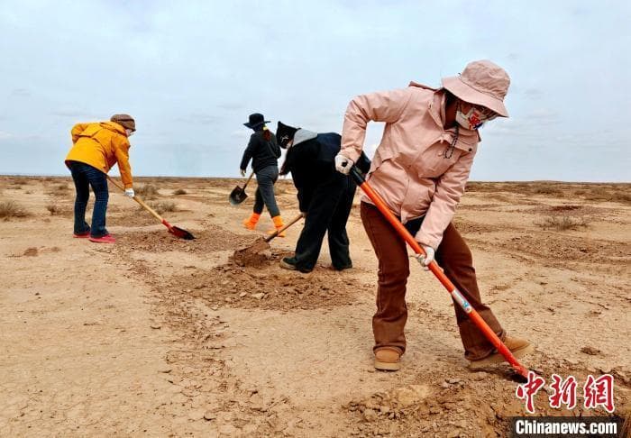 荒漠化和沙化面积"双缩减"见证甘肃民勤治沙史