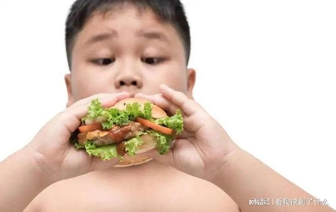 身体代谢能力下降：不容忽视的健康信号