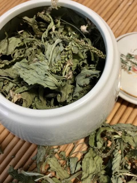 车前草干茶怎么做？详细步骤图文解析
