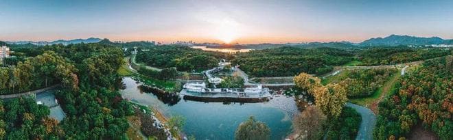 深圳新晋网红打卡地：环西丽湖绿道全线开放，打造城市里的“绿野仙踪”
