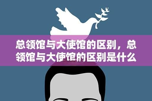 总领馆与大使馆的区别