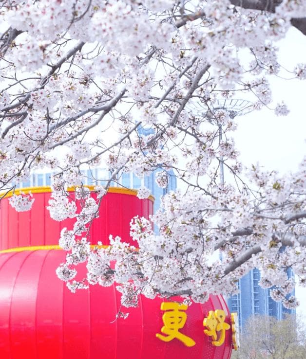潍坊四季行：一场色彩斑斓的旅行盛宴