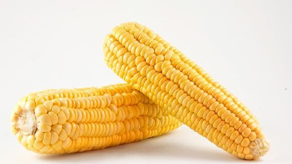 玉米控糖真相：低GI食物竟能稳血糖？营养师揭秘健康吃法！