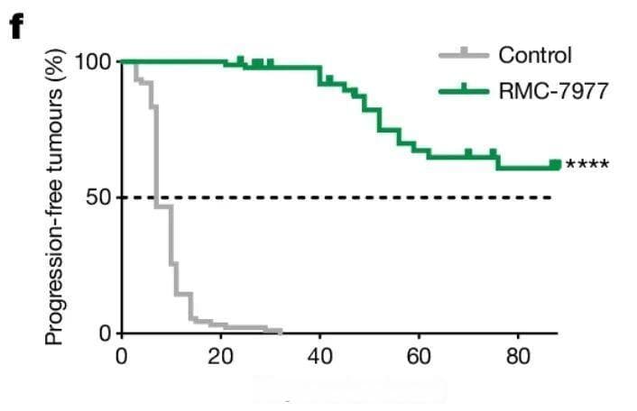 《自然》双重磅：新型药物RMC-7977广谱靶向RAS蛋白，持久抗肿瘤且不易耐药