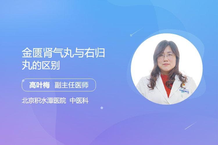 金匮肾气丸与右归丸的区别