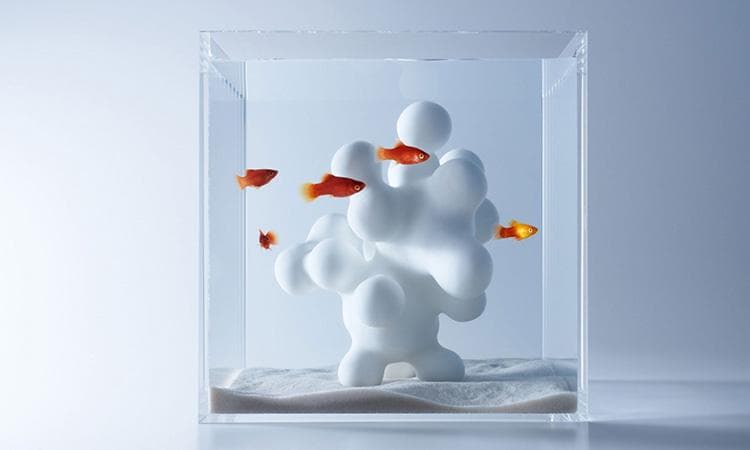 鱼儿专属的艺术豪宅：日本设计师打造净透水族空间