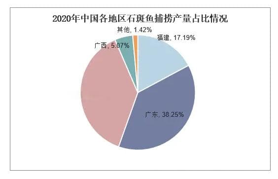 2024年石斑鱼行业分析：我国石斑鱼总产量达到了31.16万吨