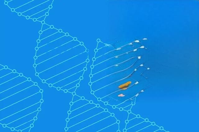 视网膜母细胞瘤基因检测主要是检测什么？