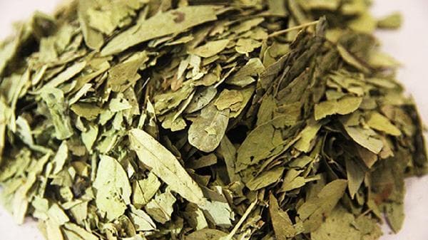喝番泻叶一周瘦了10斤左右