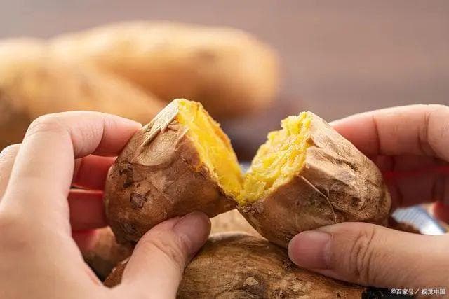 孕妇可以吃红薯么？美味又健康的孕期红薯食谱推荐