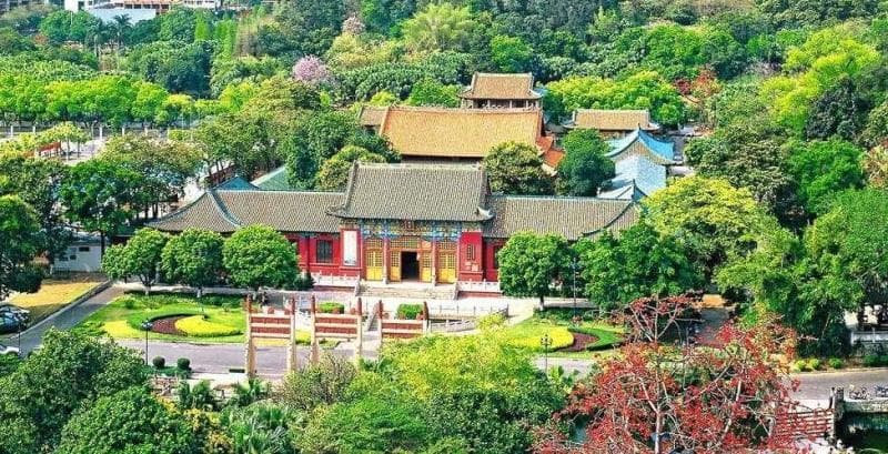 新会区：广东江门的“葵乡”“陈皮之乡”