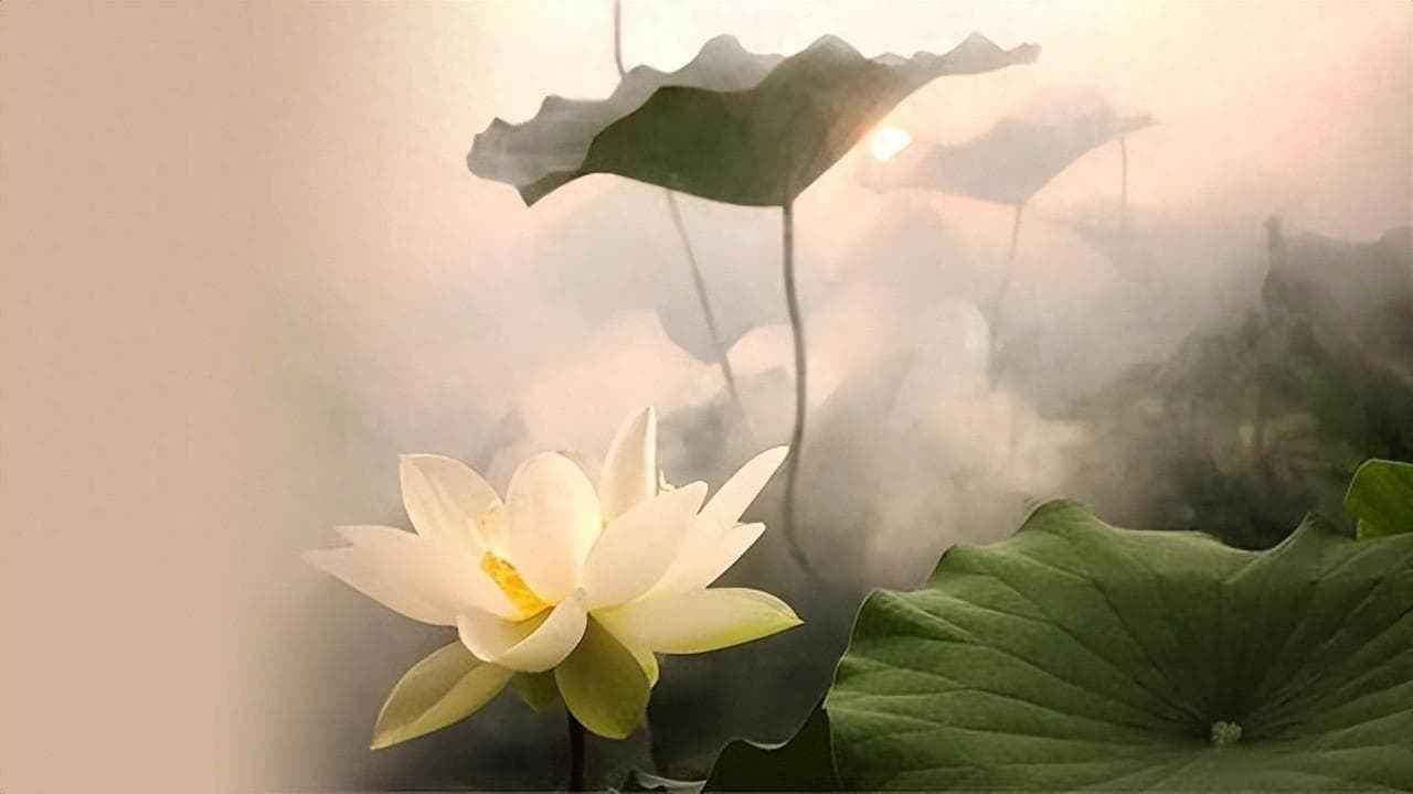 “色即是空，空即是色”：佛教经典《心经》中的智慧