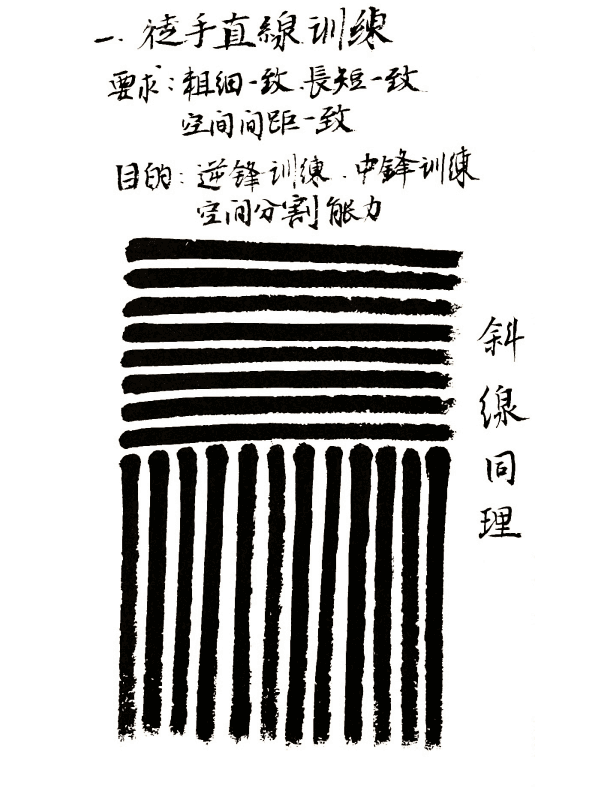 篆书线条训练：书法小白的“篆”业指南（附篆书线条训练手稿图）