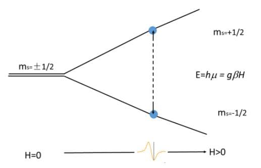 电子自旋共振是量子科学吗？