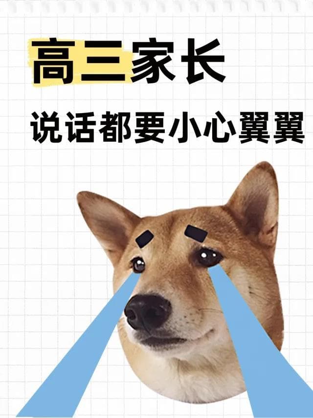 高三阶段的亲子沟通技巧，激励孩子更努力~