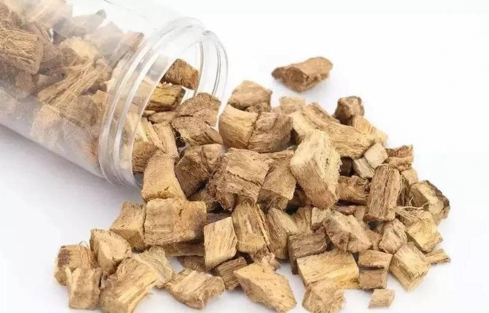 葛根功效揭秘：沈汮澄敬葛堂全面解析