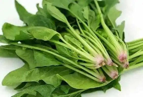 这3种食物，千万别和菠菜同时搭配食用，否则吃错了后果很严重