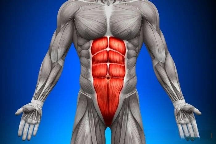 你以为想练腹肌只能做仰卧起坐？专家教你5个「腹肌训练动作」更有效，快速练出马甲线